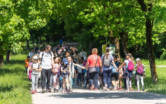 VELIKA Mnozica solarjev Foto Damjan Koncar