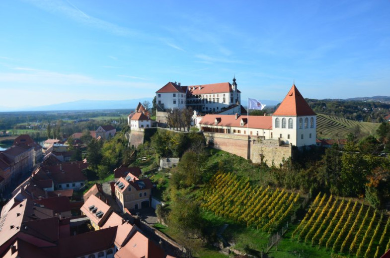 A hilltop castle overlooking the town and surrounding vineyards, offering a panoramic view of the peaceful landscape.
