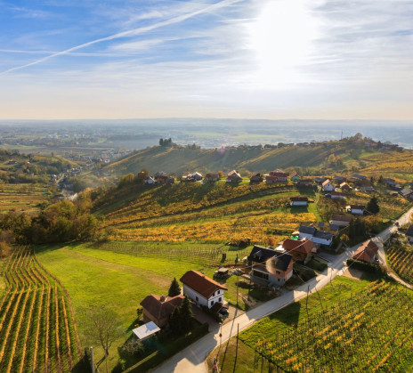 An aerial panoramic view of beautiful orchards, grass fields, hills, and vineyards, and a few houses next to the road. 