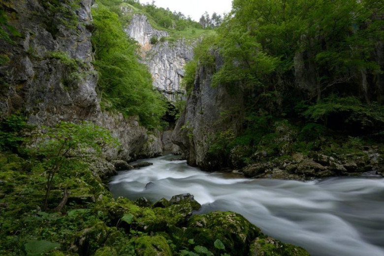 River with name Reka