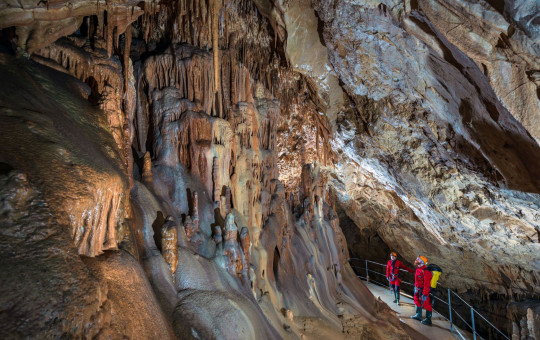 Cavers on a secured walkway observe speleothem formations rising throughout the spacious underground chamber.