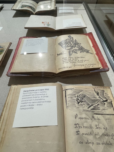 V vitrini so razstavljene stare odprte knjige z porumenelimi listi, risbami ptice in rože ter rokopisnimi zapisi. Na eni strani leži natisnjen kartonček. V ozadju so vidne dodatne ilustrirane knjige, a manj jasno.