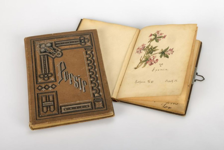 Dva stara albuma ležita drug ob drugem. Eden je zaprt z okrašeno rjavo platnico z naslovom »Poesie«. Drugi je odprt in prikazuje nežno botanično risbo rožnatih cvetov z ročnimi zapisi pod njo.
