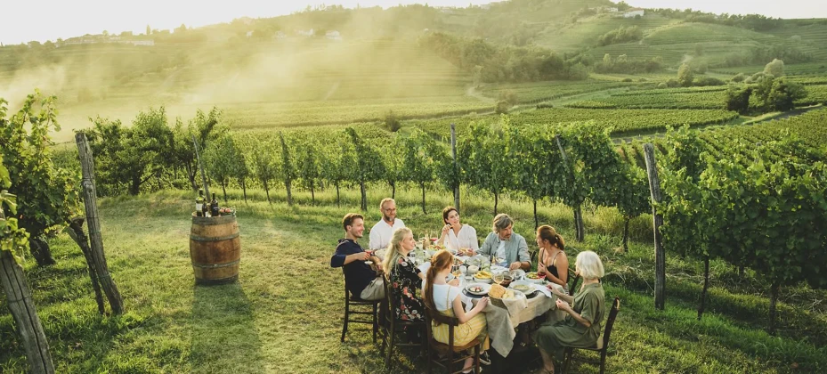 A group of people sit around a table among vineyards, enjoying an outdoor meal in a rolling wine-growing landscape.