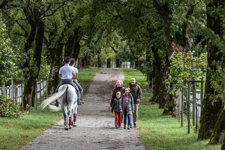 A family walks along an avenue in Lipica, passing riders on a white Lipizzaner horse.