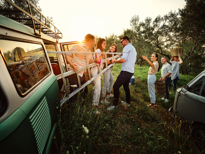 A group of people preparing to harvest olives; some standing by a van, others carrying baskets among olive trees.
