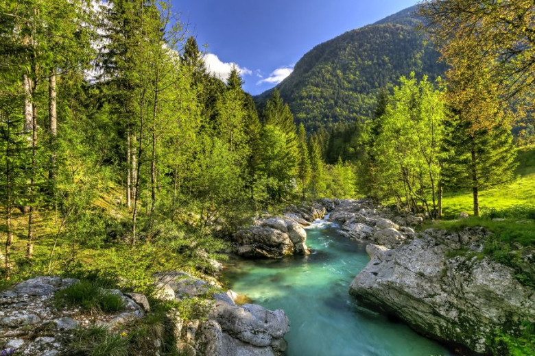 The emerald Soča River winds between the rocks.