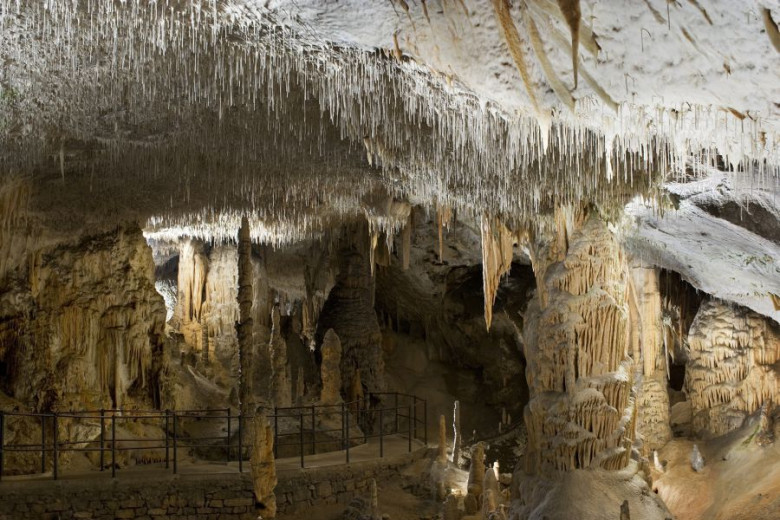 A Hall in Postojna Cave with stalactites and stalagmites