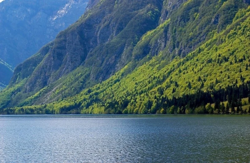 Calm, dark blue lake Bohinj, and a green hill rising in the background. 