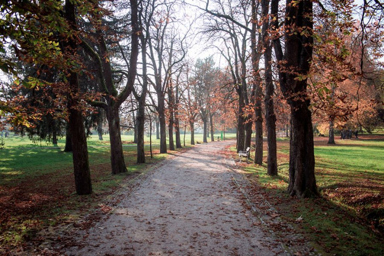 Ljubljanski park jeseni.