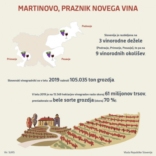 Infografika Martinovo-praznik novega vina