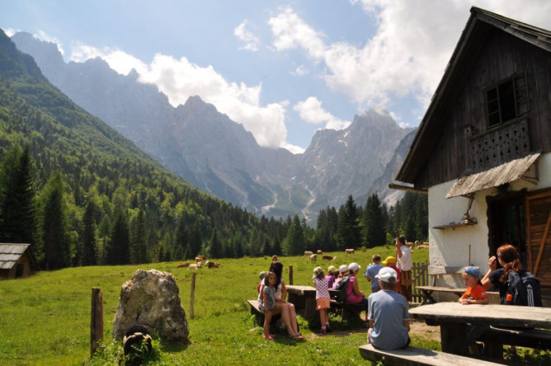 Družine uživajo v lepem dnevu na enem od gorskih pašnikov v Kranjski Gori