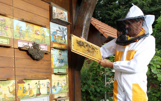 NASLOVNA CEBELAR  ales fevzer beekeeper 3831 orig jpg photo m 1