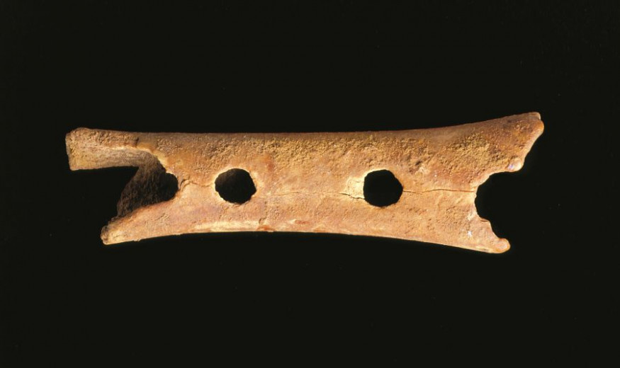 The Neanderthal Flute 