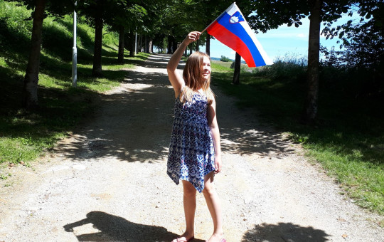 Simboli Slovenije zastava