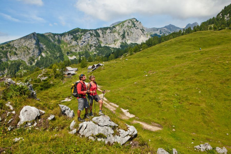 Two hikers in the green mountains.