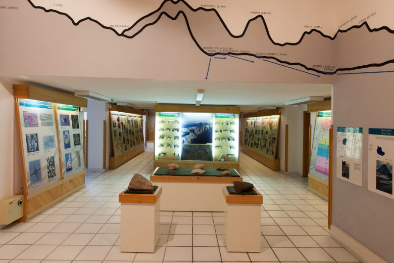 Photos of the animals and nature on the walls in the museum