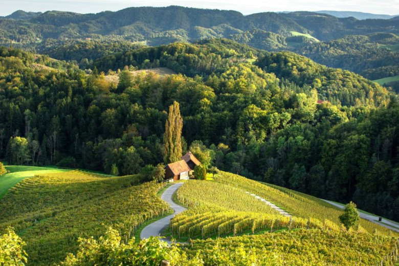 mala F014487 02 alpska slovenija spicnik srce med vinogradi 1 photo m 1