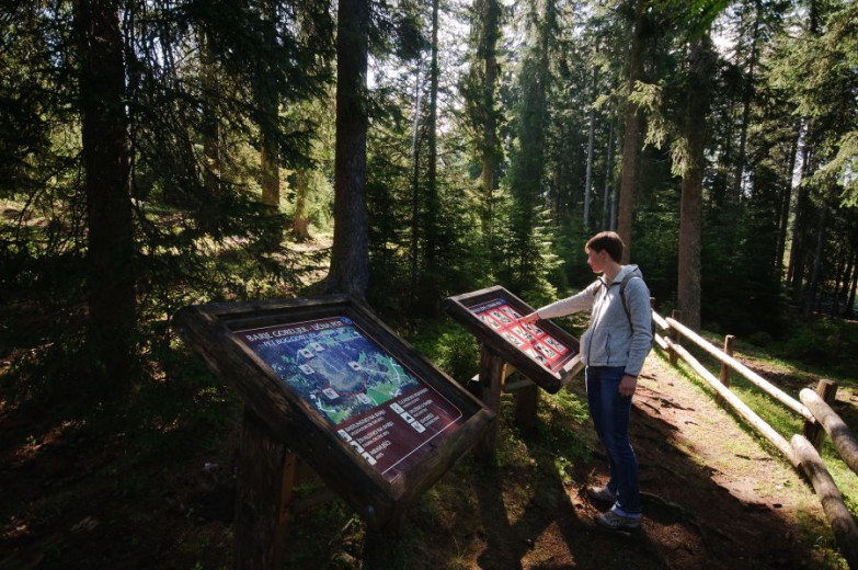 A person reading the board at the educational path in the forest. 