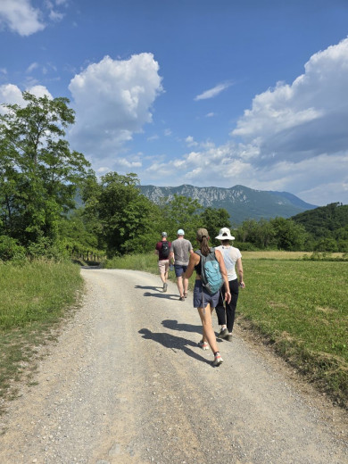 Four hikers walk along a sunny gravel trail through fields toward a rugged, forested mountain range.