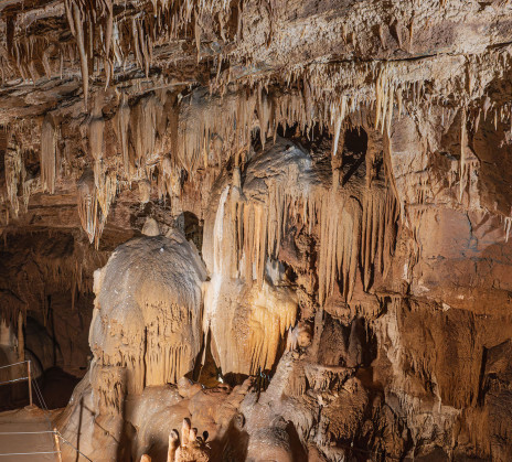 Stalactites and other cave formations of various shapes cover the ceiling and walls of a cave chamber.