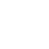 cloudy, foggy, light snowfall