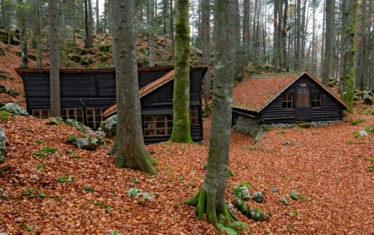 bolnica zgornji hrastnik Joze Saje Dolenjski muzej NM