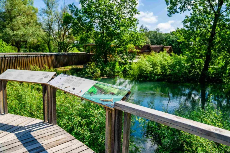 Educational boards along the wooden route surrounding the water and greenery. 