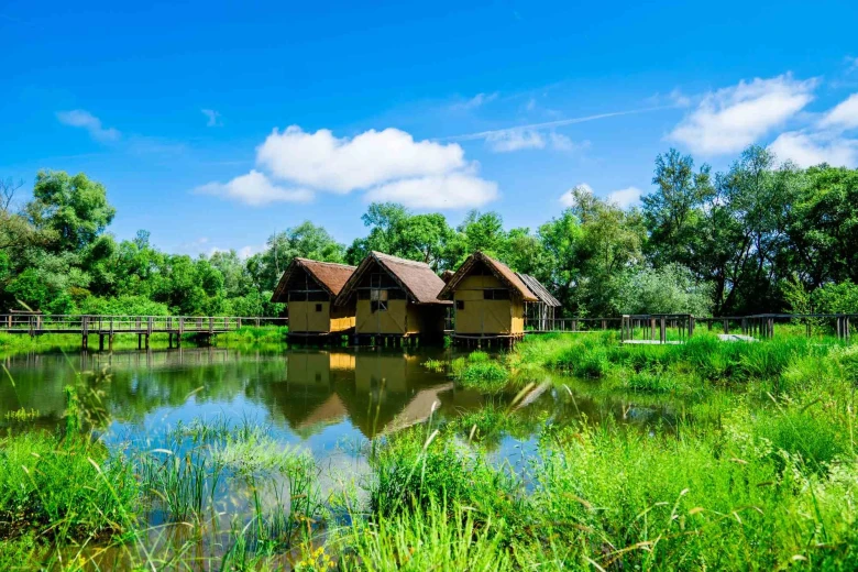 Three huts on the water, surrounded by a wooden path and trees around.