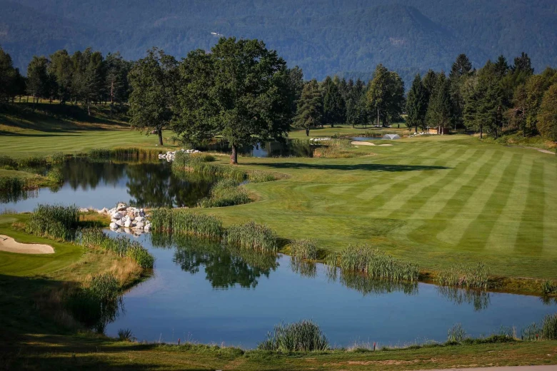 A landscape photo of a golf course in Bled. Dark and light green stripes of golf course grass are surrounded by trees and small ponds.