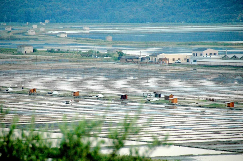 A panoramic view of the Sečovlje salt pans and a few little salt huts. 