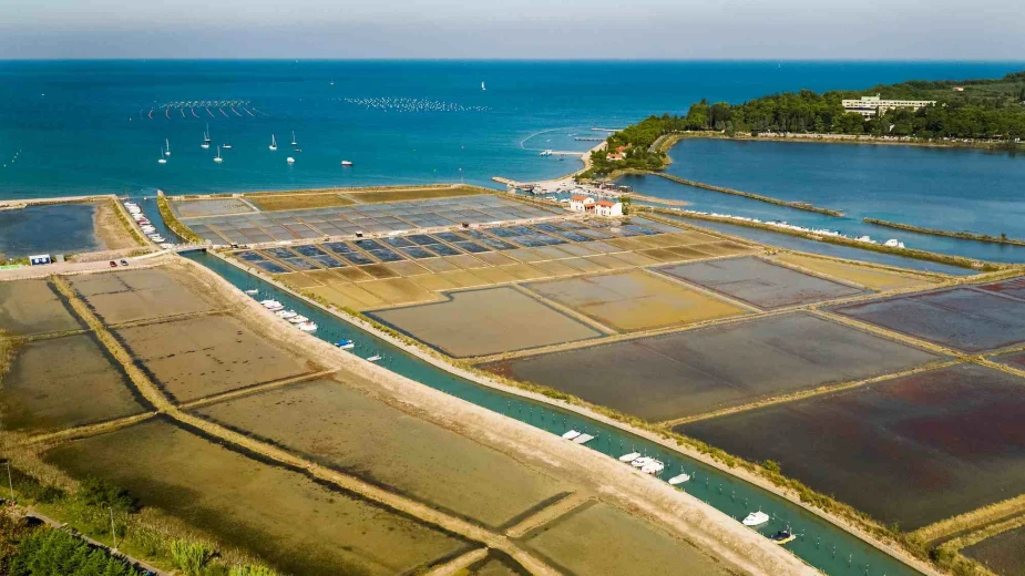 Aerial view of Strunjan salt pans and a channel flows into the sea in the distance.