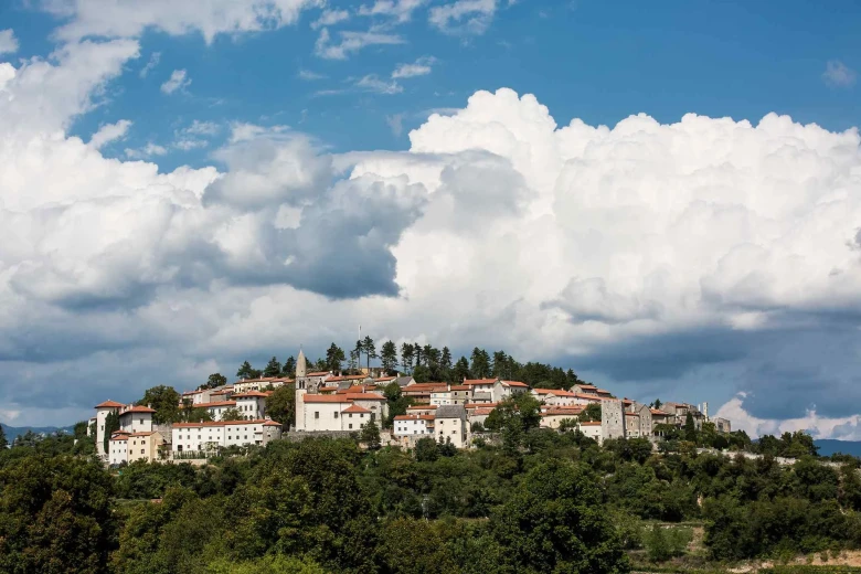 Small village Štanjel on top of a forested hill from afar.