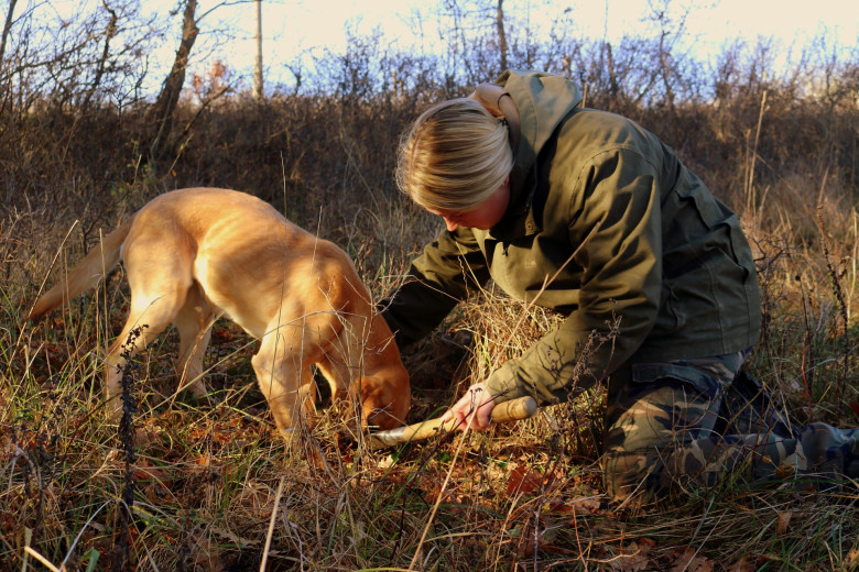 A dog and a kneeling woman digging for truffles.