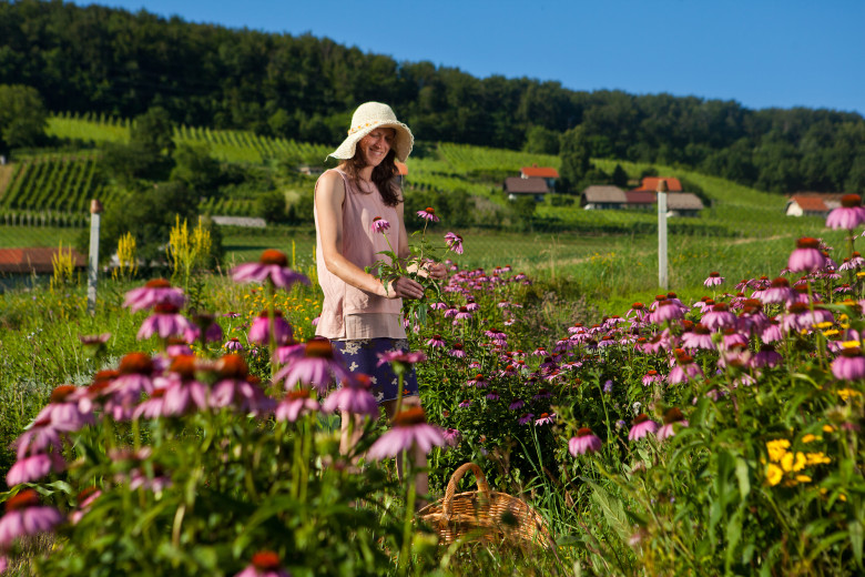 A girl picks herbs on a farm.