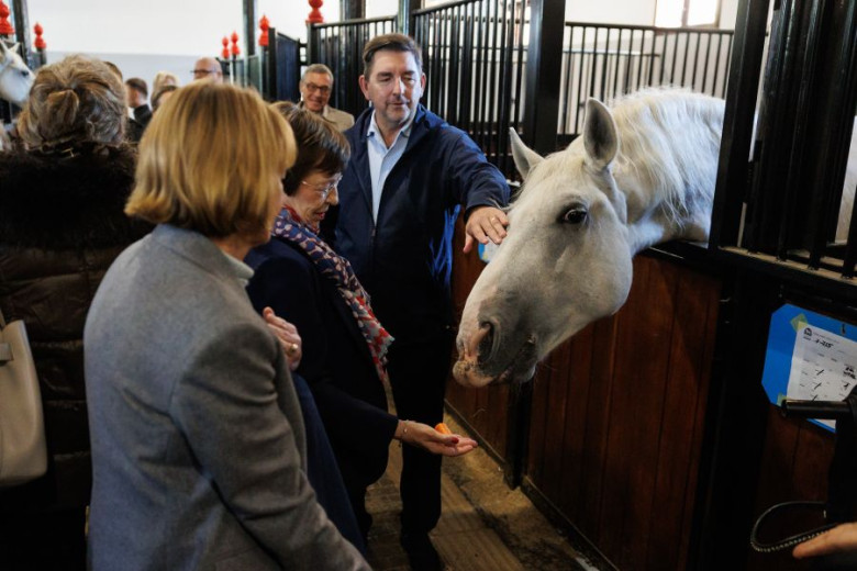 At a stable Slovenian President’s spouse, Dr Aleš Musar reaches toward a white horse while a woman offers it food and another watchesreaches toward a white horse while a woman offers it food and another watches.
