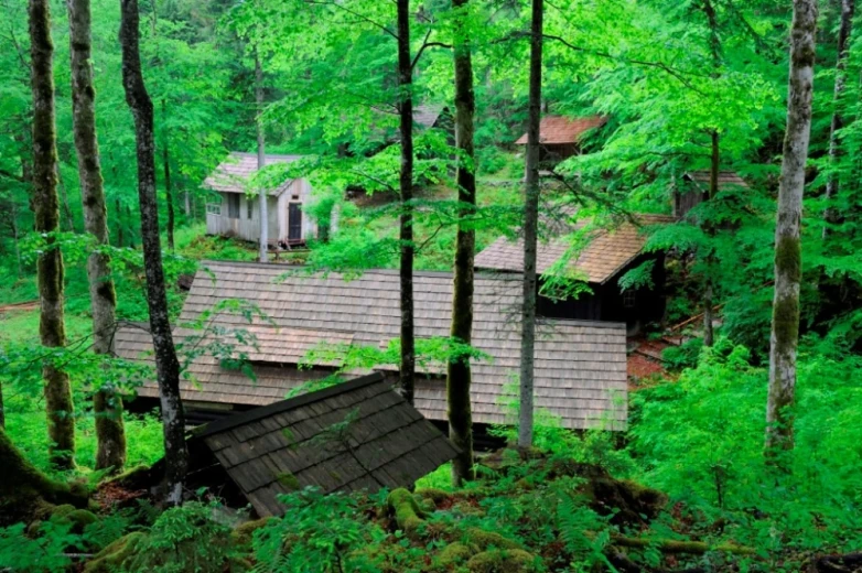 Jelendol Hospital, barracks in a green forest.