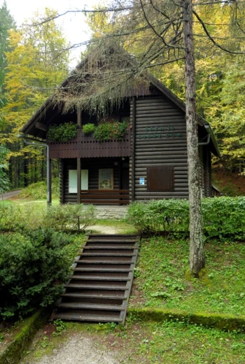 Luke's Hospital, a wooden house in the forest.