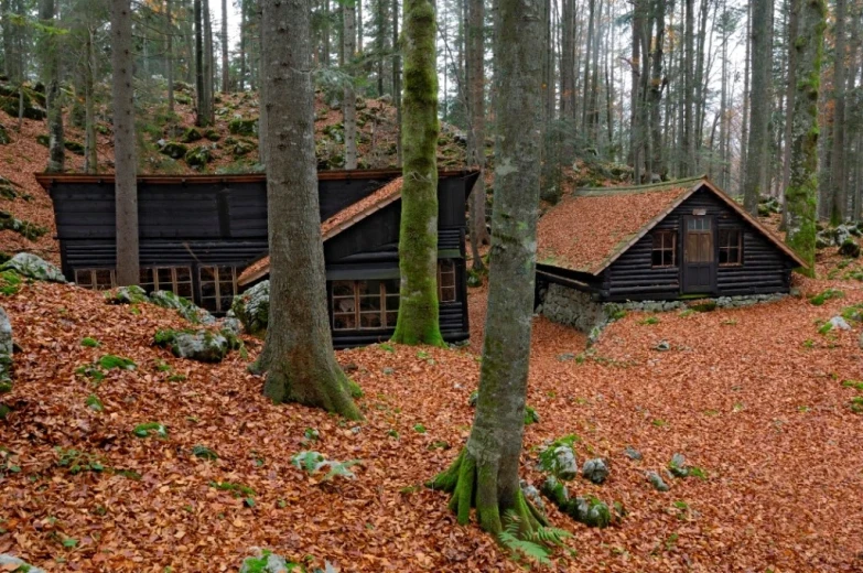 Upper Hrastnik Hospital in the forest.