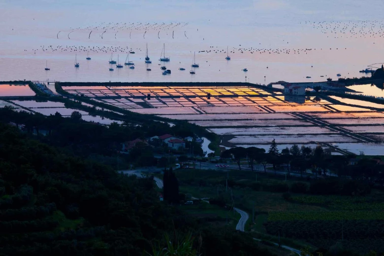 Aerial view of Strunjan salt pans at sunset. The river channel flows into the sea in the distance and a lot of sailboats are flowing on the sea.