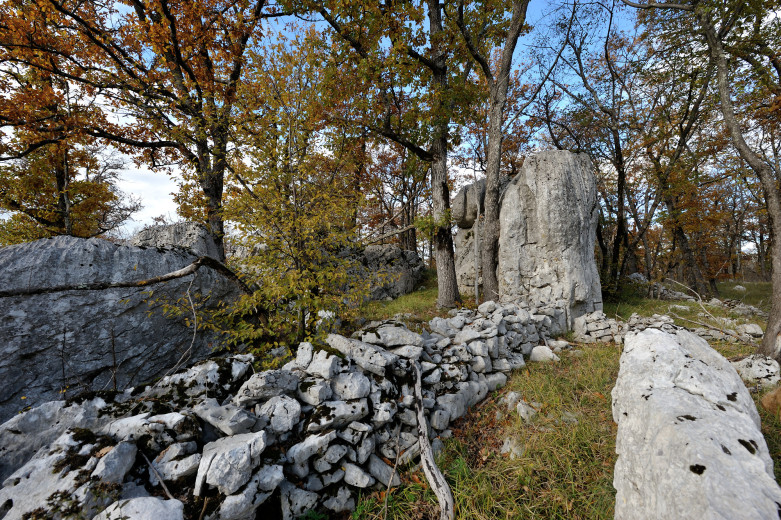 A drywall in a karst landscape.