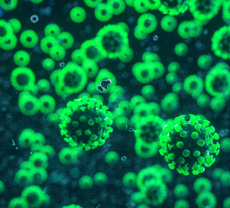 Green Coronavirus invasion