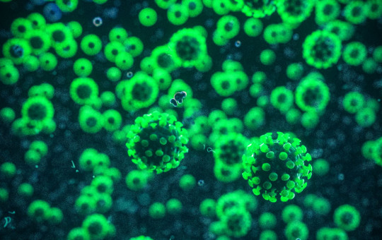 Green Coronavirus invasion