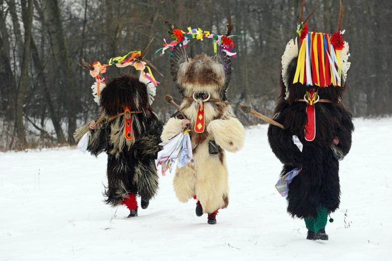 Two black and one white kurent in the middle are walking in snow. Behind them is a forest in winter.