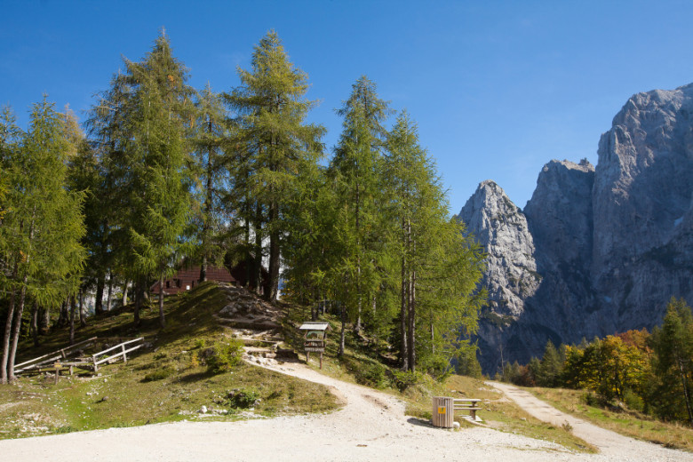 Mountain hut partially hidden among tall green larch trees, with a dirt trail leading up to it and dramatic rocky peaks rising in the background under a clear blue sky.