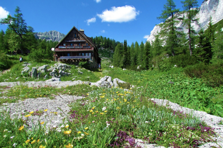 Mountain lodge surrounded by wildflowers and alpine forest, with rocky terrain in the foreground and steep mountain slopes in the background, under a bright blue sky with a few clouds.