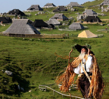 velika planina pasture ales fevzer v2