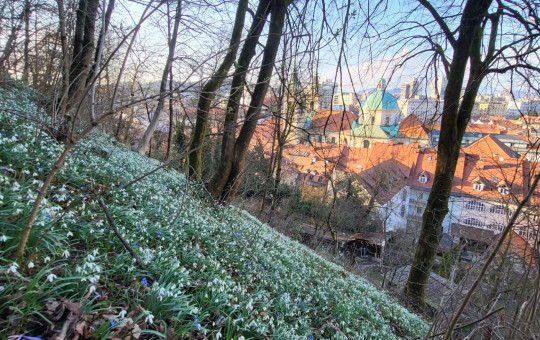 VELIKA IMG 20260304 WA0000 Foto B Ravnjak